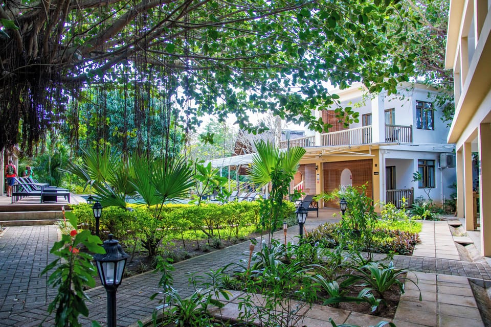 The Garden Lodge Pereybere - Piscine Hotel in Grand Baie
