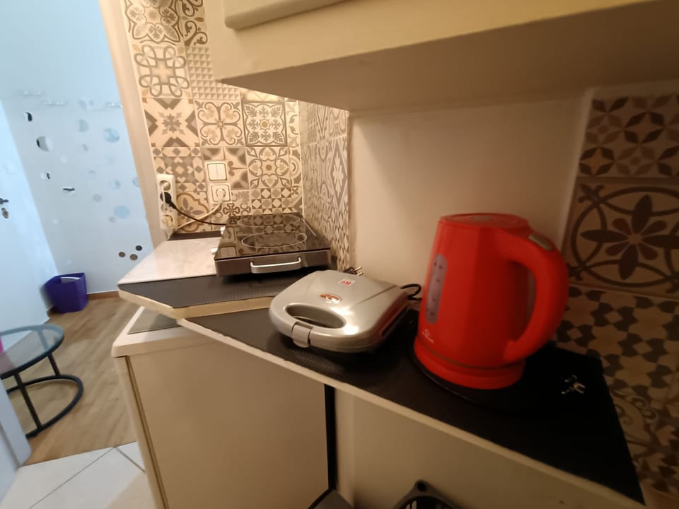 City Apartment | Private kitchen | Mini-fridge, microwave, stovetop, coffee/tea maker