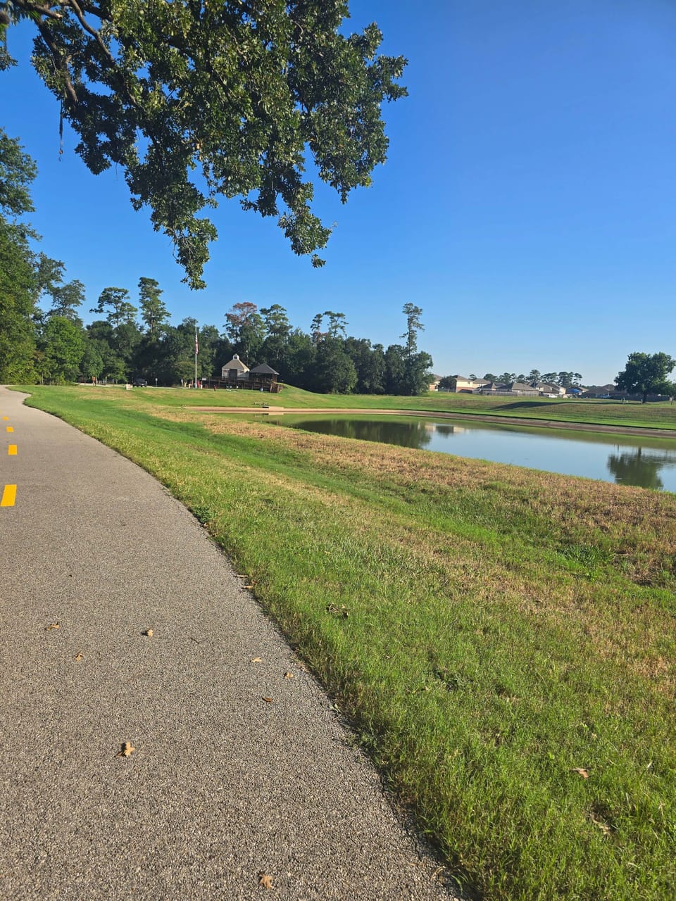 Pond with walking trails