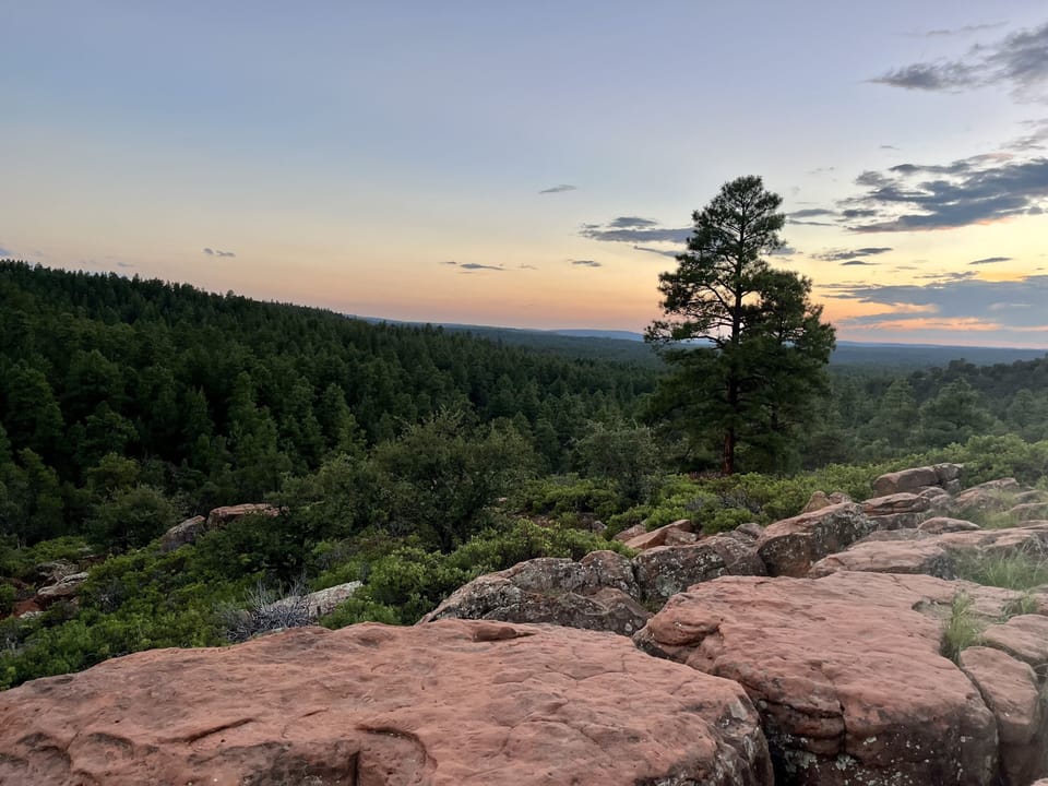 Mogollon Rim Trail is a 5 min Drive from the Cabin and a very easy walking path