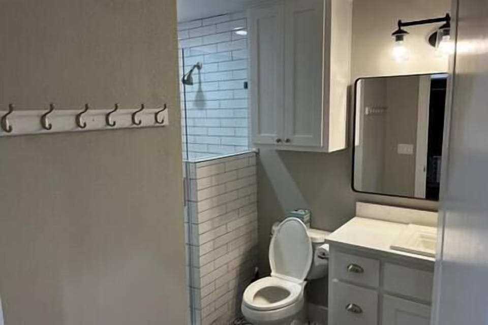 Guest bath and shower