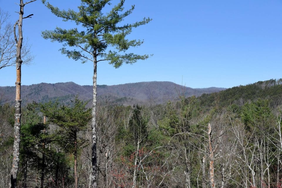Mountain Oasis, Luxury Pet Friendly cabin rental in Blue Ridge