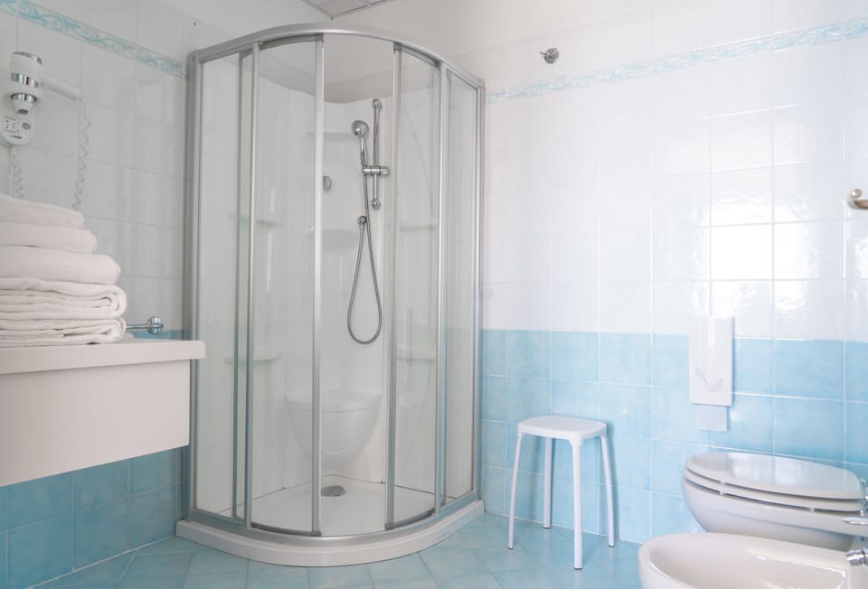 Hair dryer, bidet