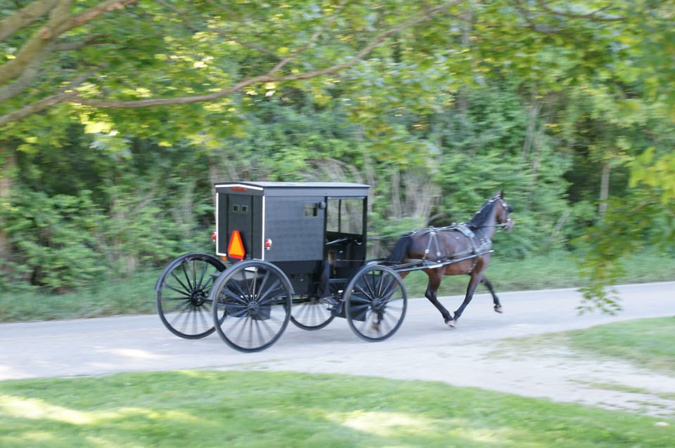 Amish buggies going by the house all the time, sit on the porch and watch