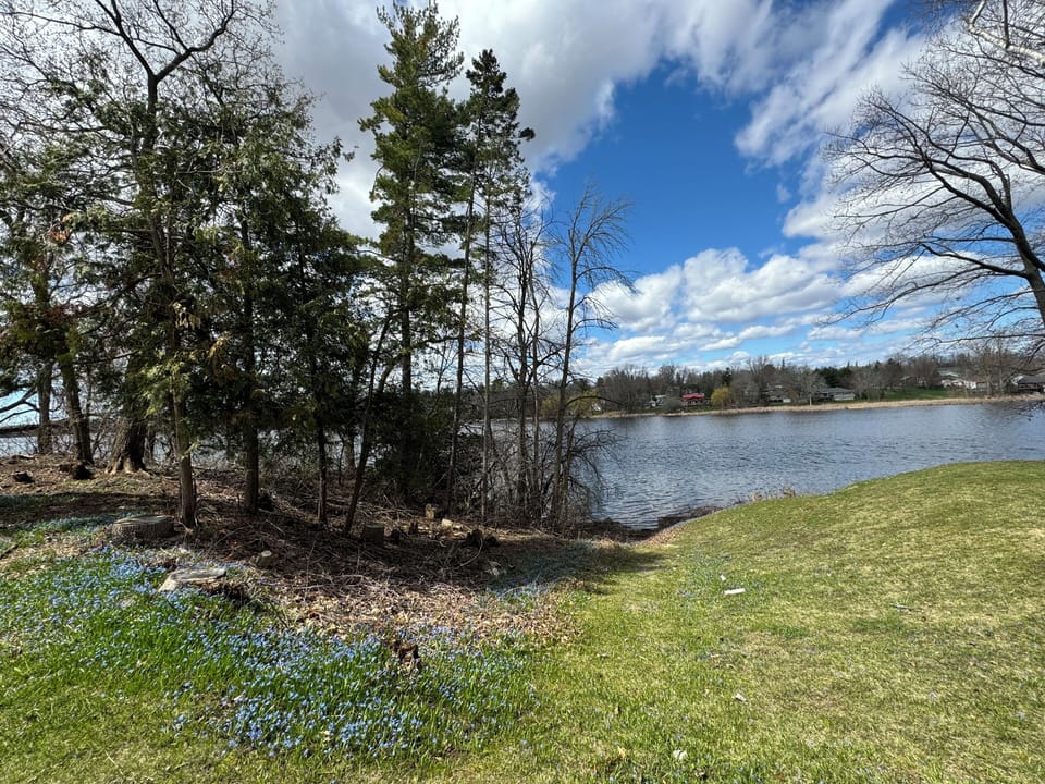 184’ of private waterfront on Napanee River.