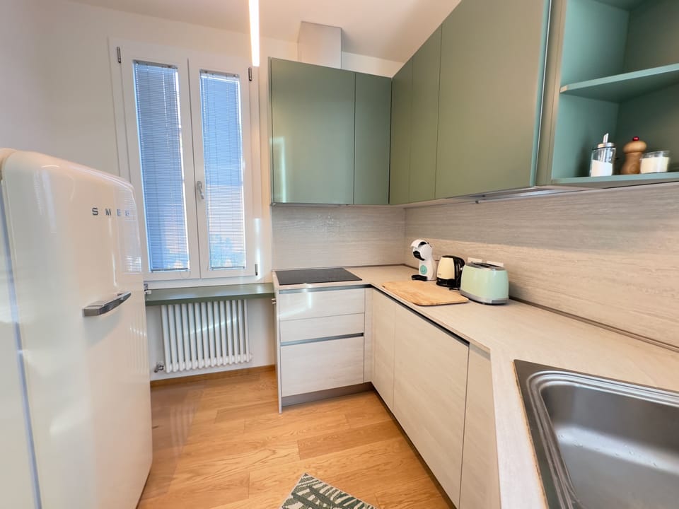Luxury Apartment | Private kitchen | Full-size fridge, microwave, oven, stovetop