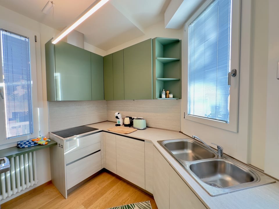 Luxury Apartment | Private kitchen | Full-size fridge, microwave, oven, stovetop
