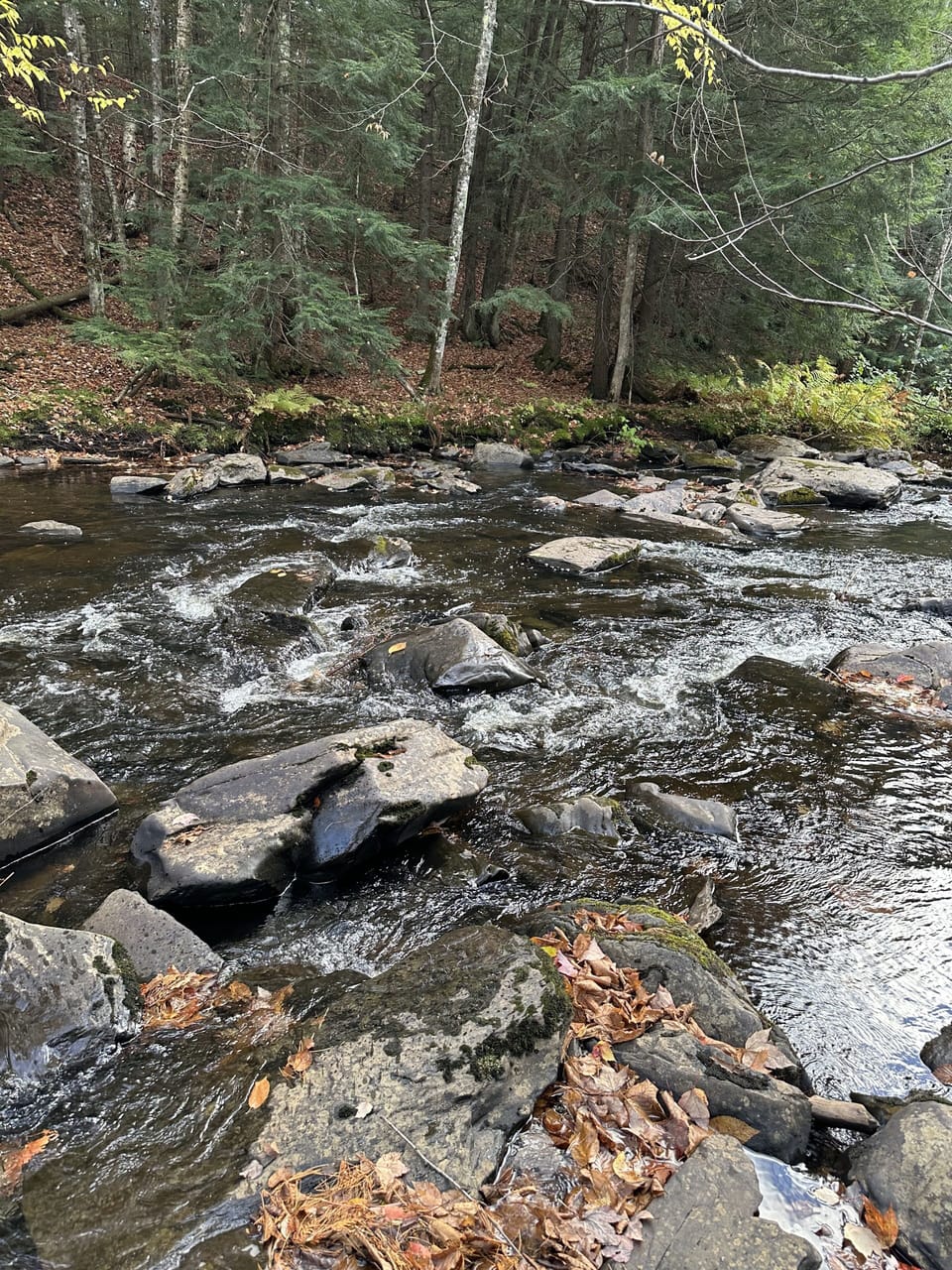 Fishing steps from front door