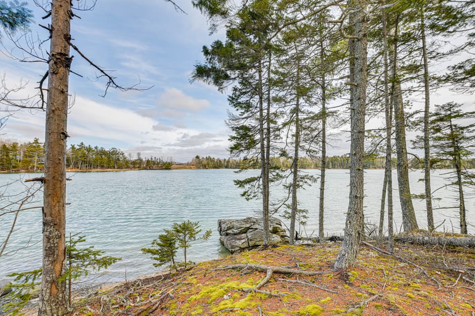 Weir Cove View