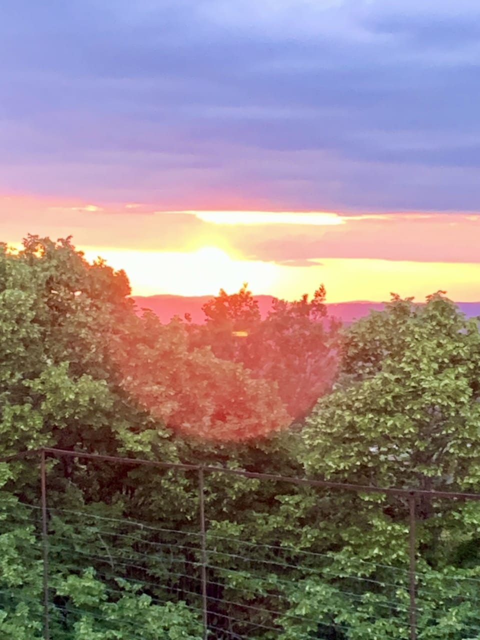 View from property