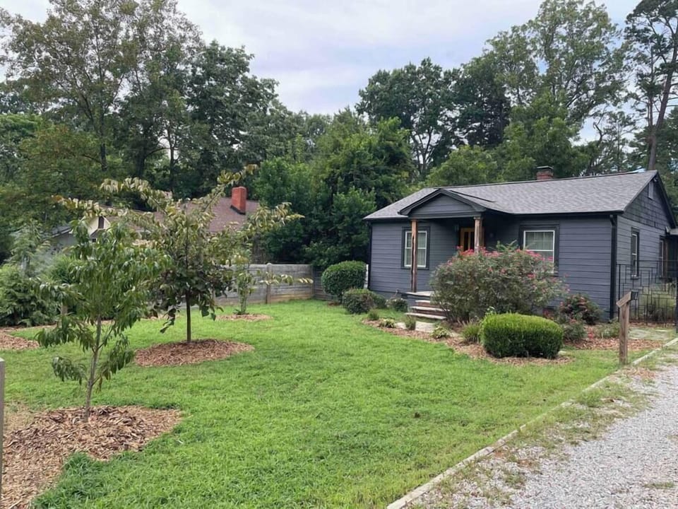 Our front yard is a food forest.
Permaculture is one of our passions, so we have put a lot of time and care into the land we are on. 
Enjoy fresh seasonal peaches, apples and pears from our trees!
Elderberries, and fresh cherry tomatoes as well.