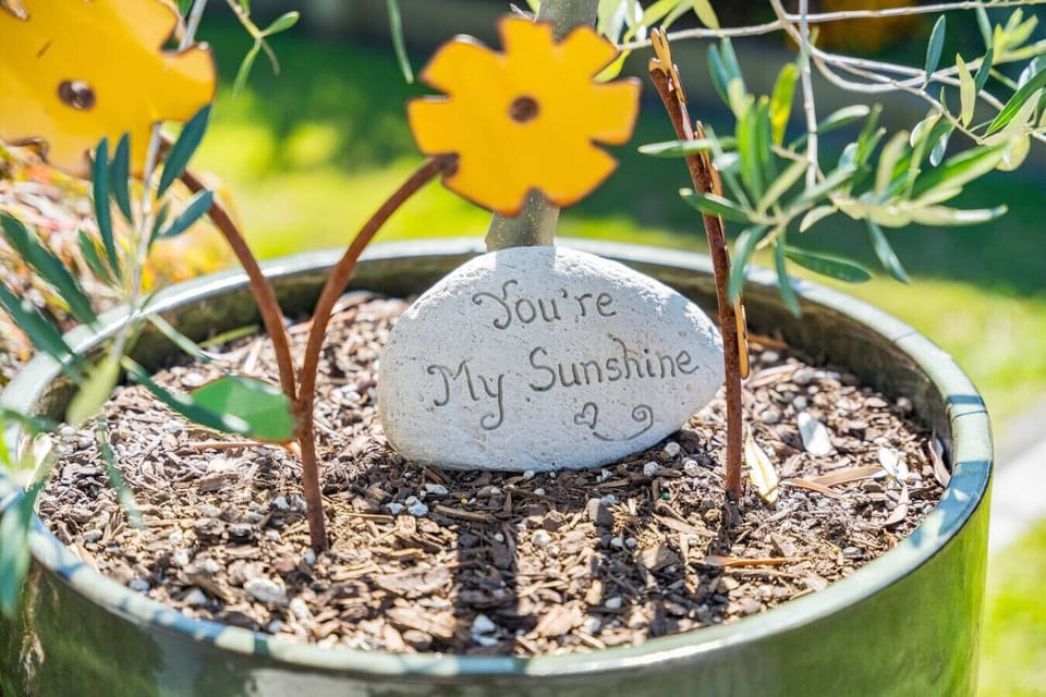 The inspiration for Sunshine Cottage