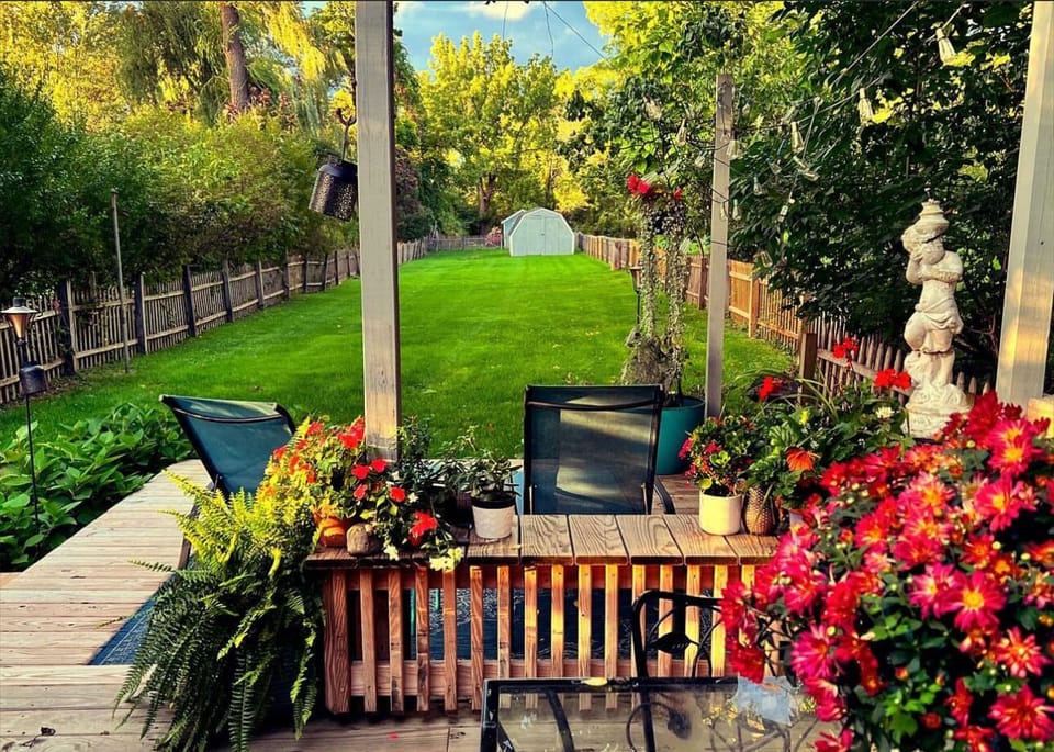 Backyard, summer 2023