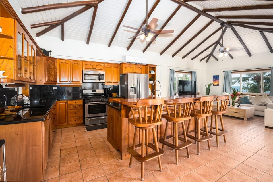 Dolphin Beach - Private Oceanfront 4-Bed Villa w/Pool on Huge Lot (3678)