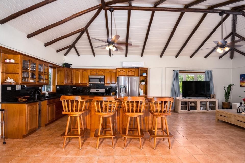 Dolphin Beach - Private Oceanfront 4-Bed Villa w/Pool on Huge Lot (3677)