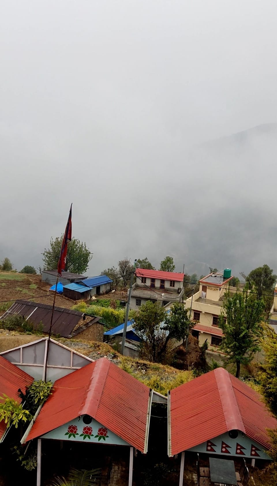 View from room
