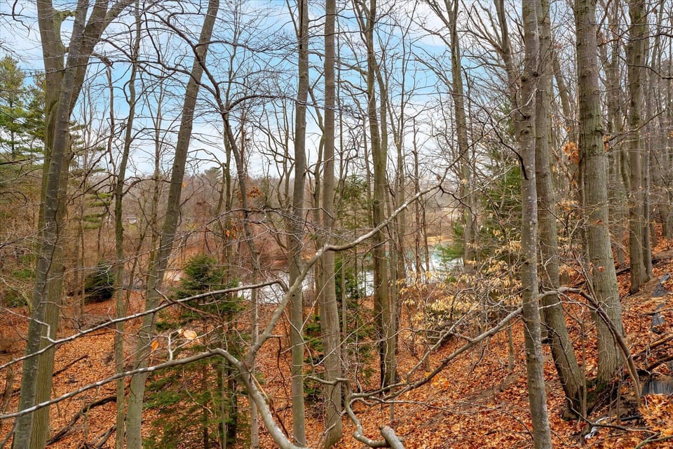 Take a moment to breathe in and out as you soak in this view from the backyard.