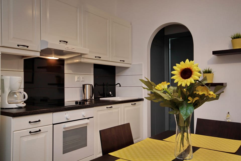 Standard Apartment, 1 Bedroom | Private kitchen | Fridge, coffee/tea maker, highchair