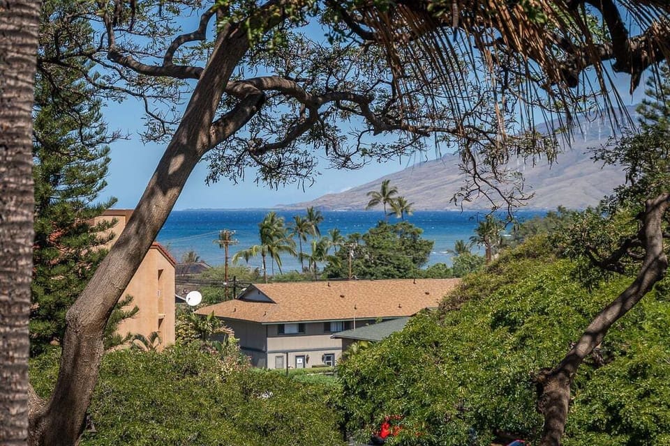 Away from the hustle and bustle of South Kihei Road