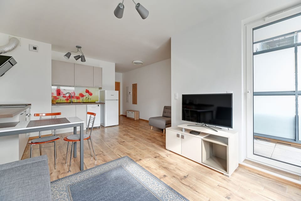 Classic Apartment | 1 bedroom, free WiFi
