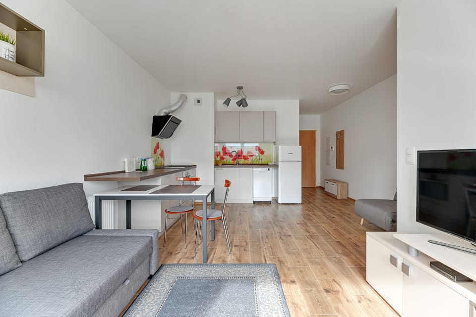 Classic Apartment | 1 bedroom, free WiFi