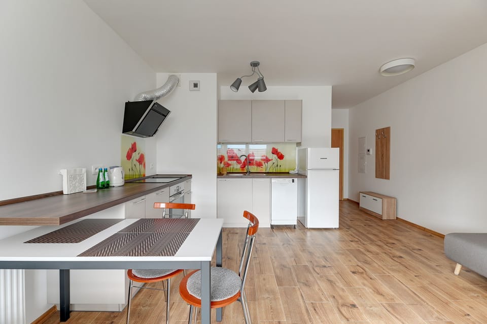 Classic Apartment | Private kitchenette | Electric kettle