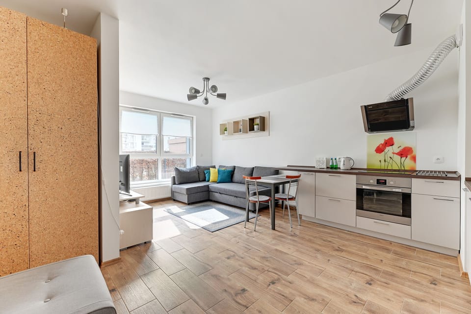 Classic Apartment | 1 bedroom, free WiFi