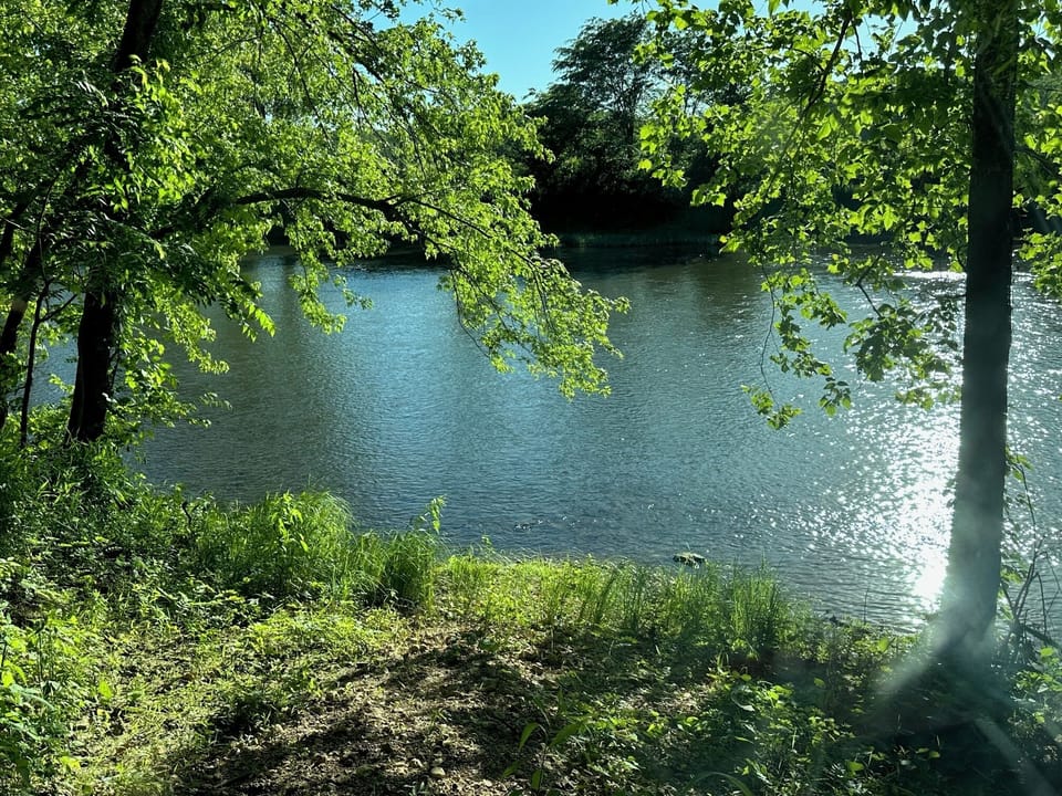 River access.  Will be weedeated with gravel.  I will post a new pic soon.