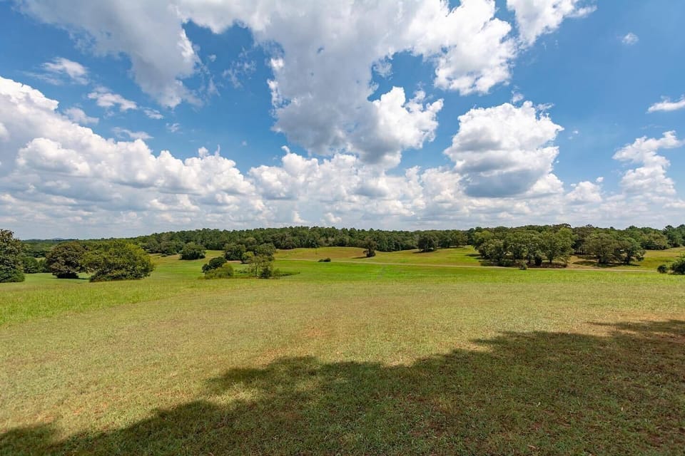 333115973_152560054284564_2751761082805925851_n