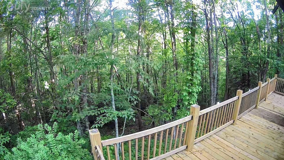 Soak in the serene, lush forest views right from your private deck.
