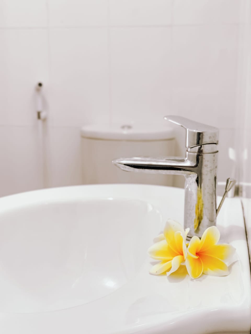 Classic Triple Room, 1 Bedroom, Garden View | Bathroom | Free toiletries, hair dryer, bathrobes, slippers