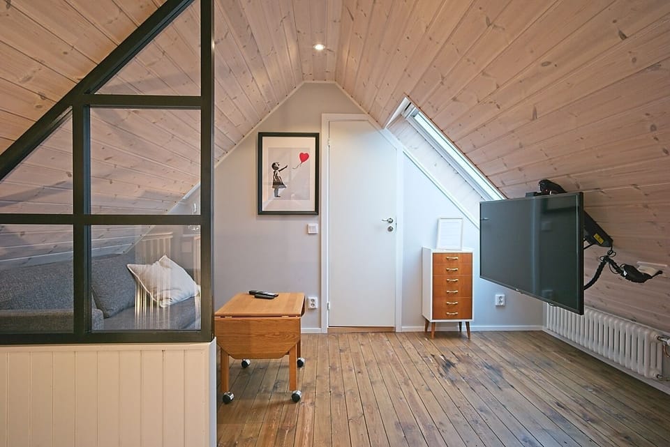 Studio, 1 Queen Bed with Sofa bed | Television