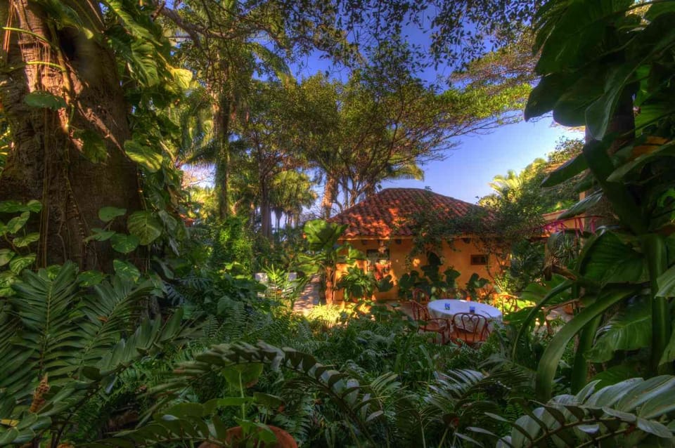 Garden view