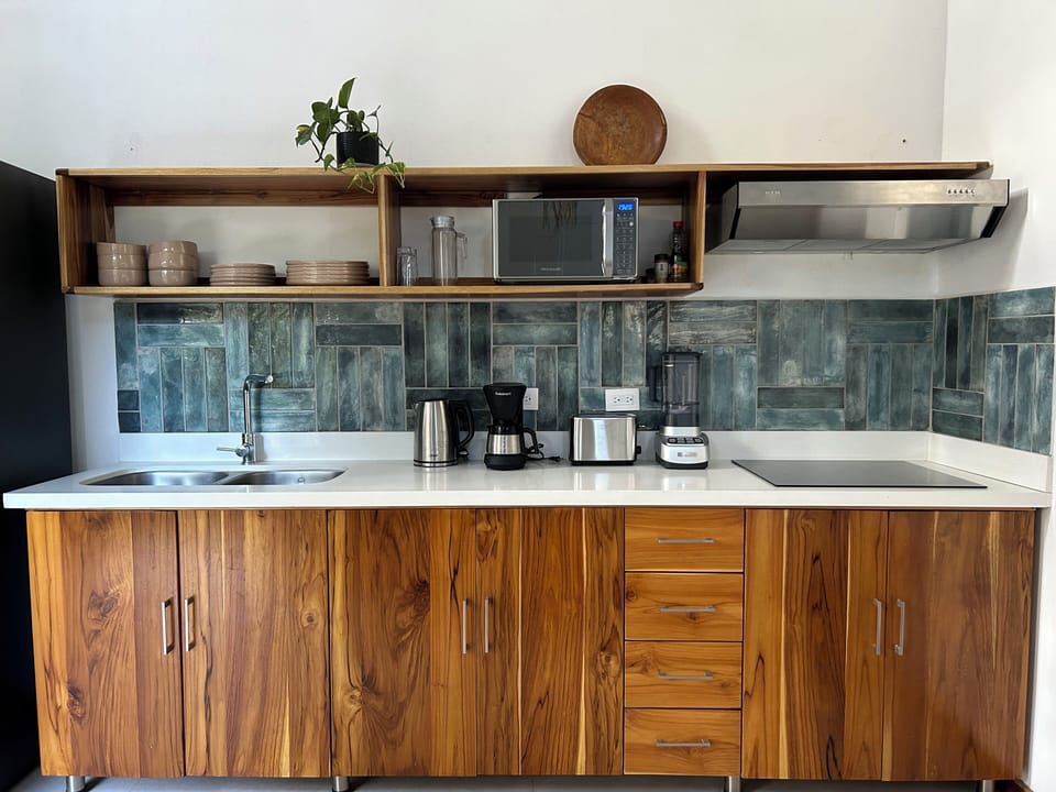 Premium Apartment | Private kitchenette | Fridge