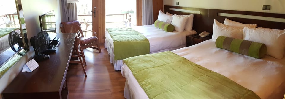 Standard Double Room, Park View | In-room safe