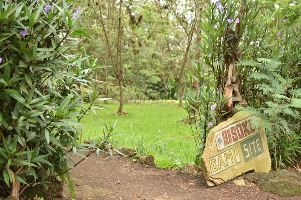 Shared Dormitory, 1 Bedroom, Accessible, Smoking | View from property