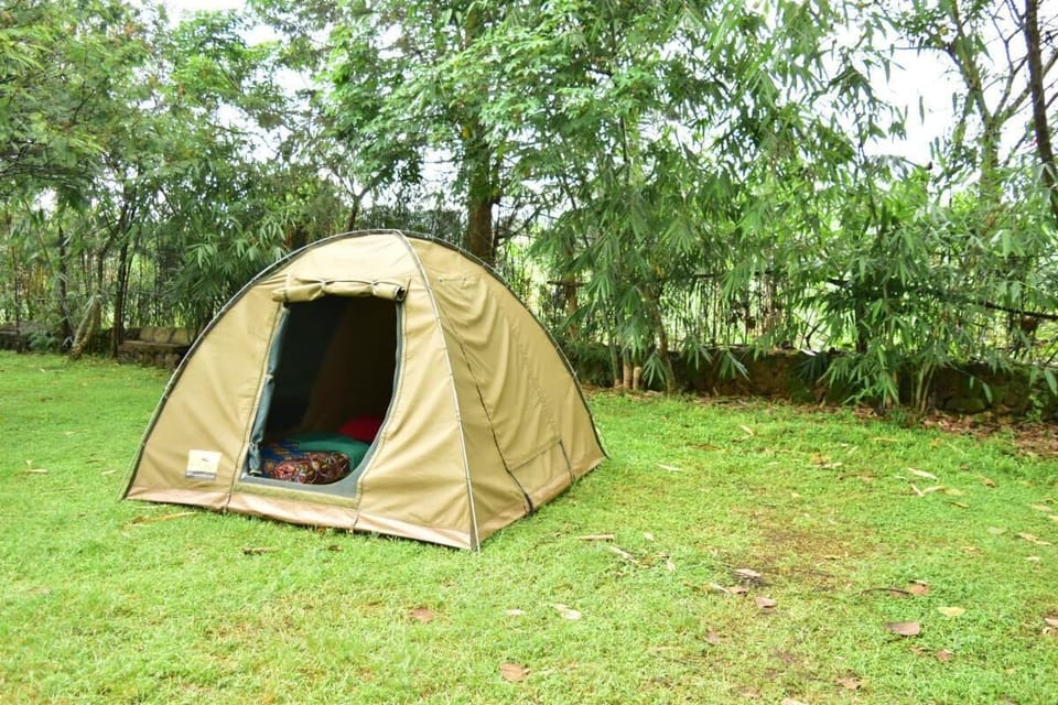 Shared Dormitory, 1 Bedroom, Accessible, Smoking | View from property