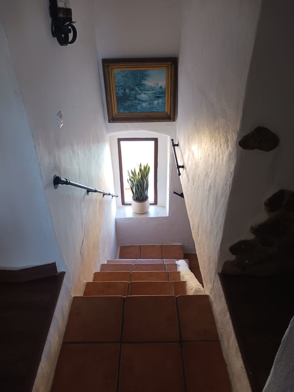 Image 22