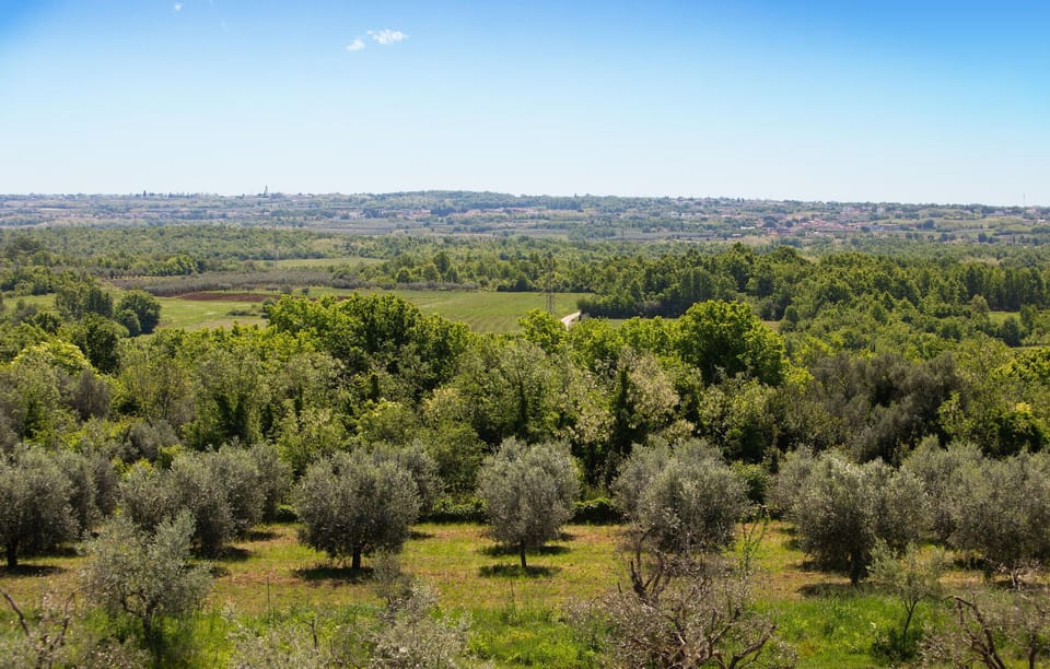 view-from-room