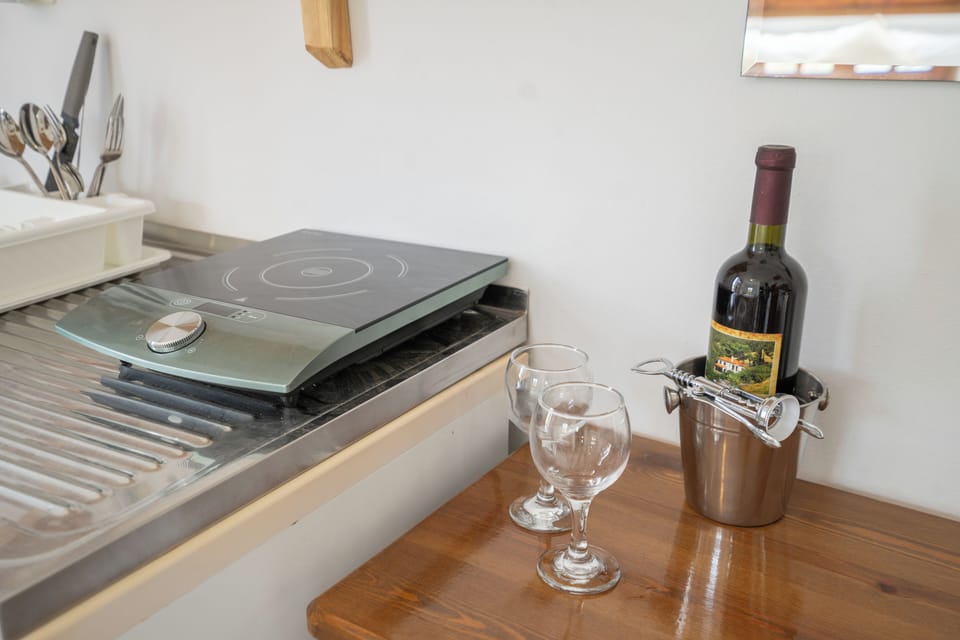 Fridge, stovetop, cookware/dishes/utensils
