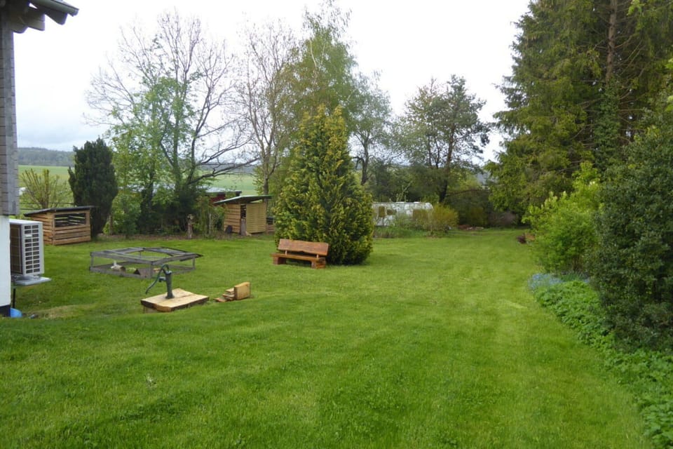 Garden [summer]