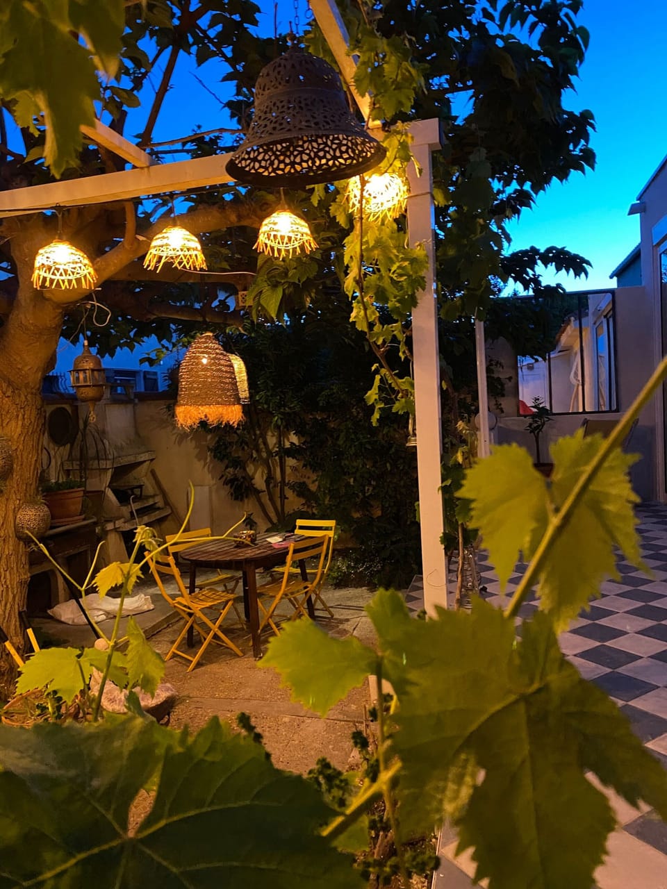 Garden