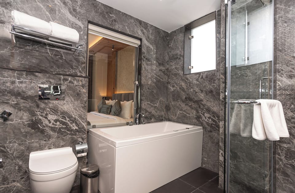 Suite | Bathroom | Shower, rainfall showerhead, free toiletries, hair dryer
