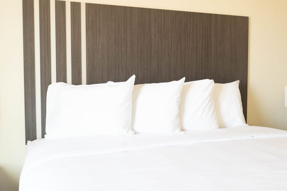 Standard Room | Premium bedding, Select Comfort beds, desk, laptop workspace