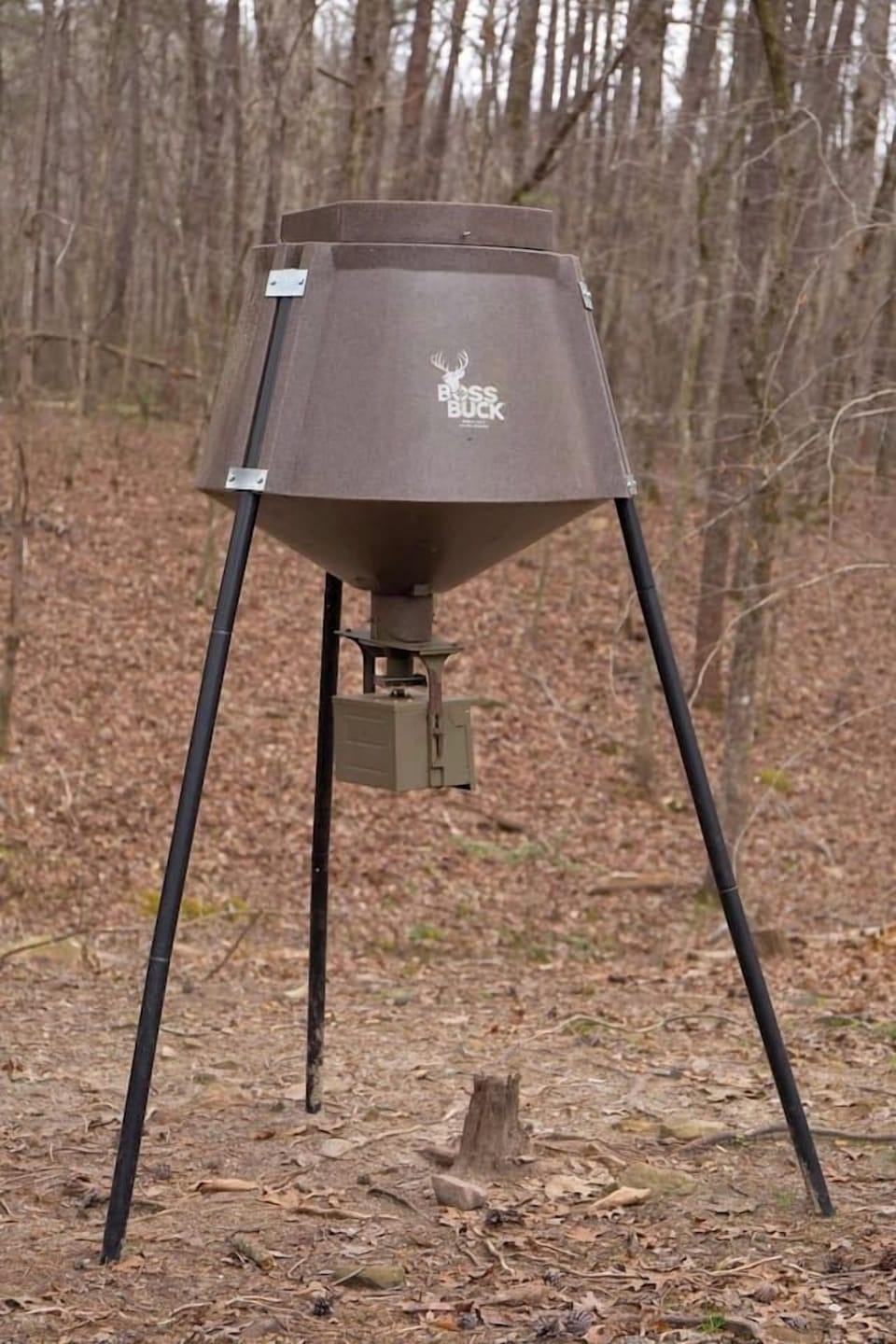 Watch the white-tailed deer roam the woods around the home, with the deer feeder attracting them for a peaceful, nature-filled experience.