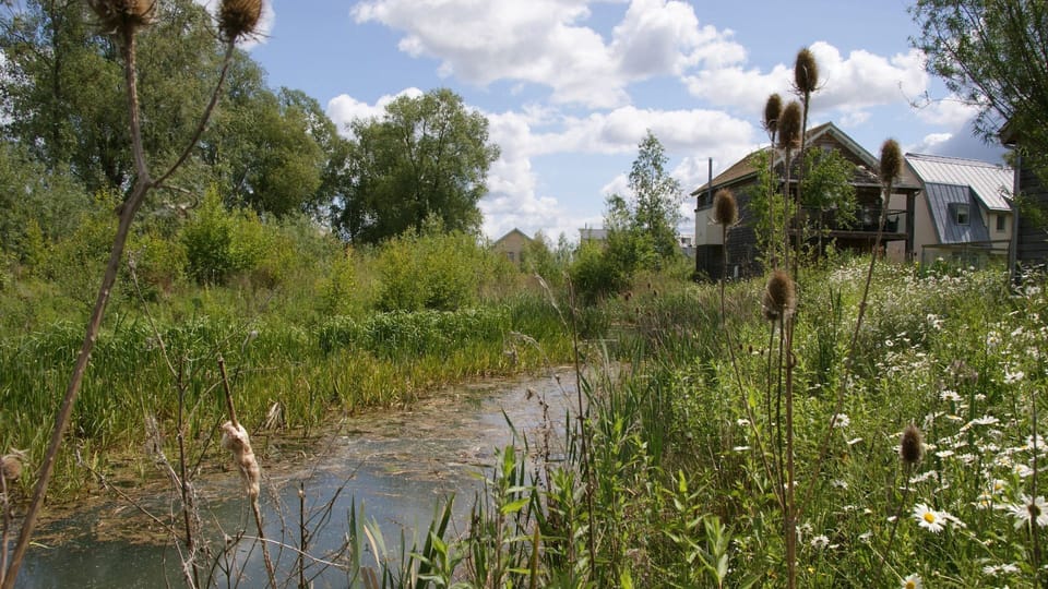 River View, Songthrush, Bolthole Retreats