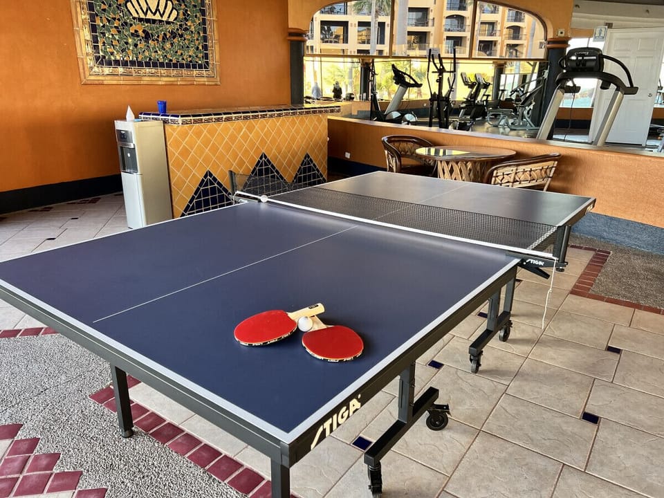 Ping Pong Anyone?