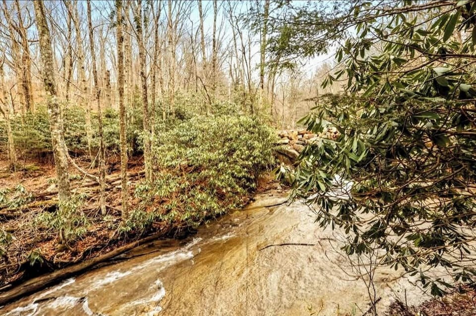 Kids love to swim in the wide creeks.