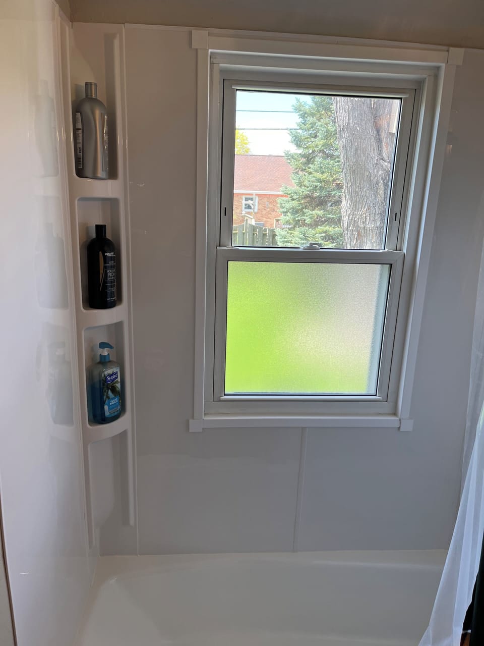 Provided shampoo, container, body soap