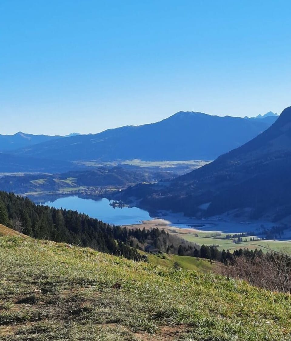 Region [summer] (>5 km)